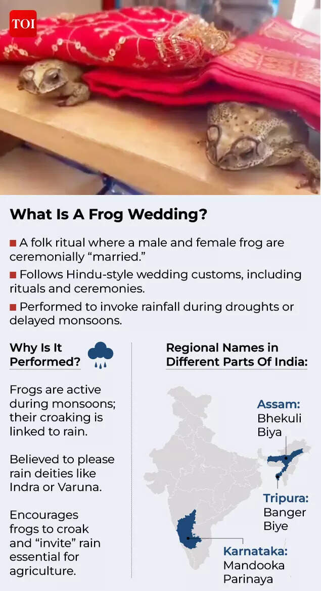 Frog Wedding