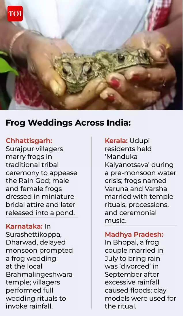 Frog Weddings Across India