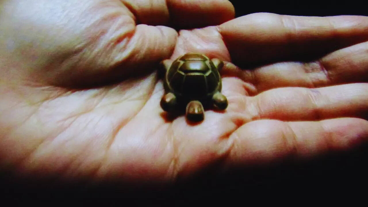 A turtle is often used as a decor item