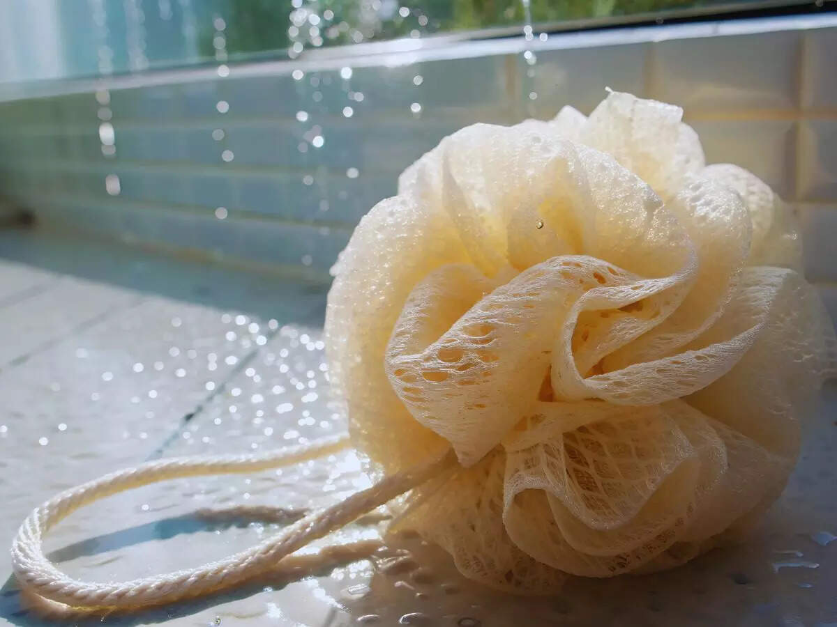 Loofas