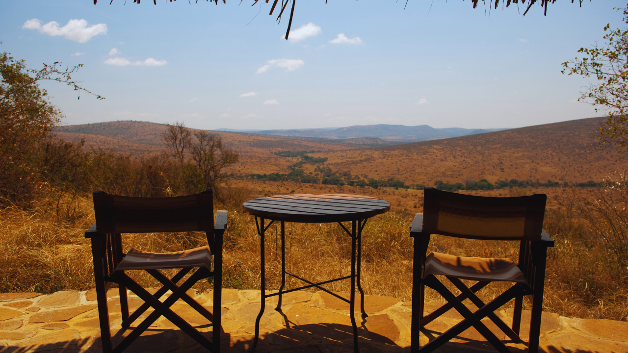 Stay in a forest lodge