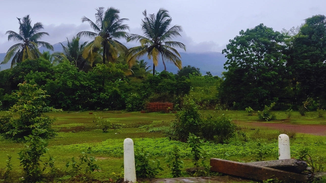 Countryside in Goa