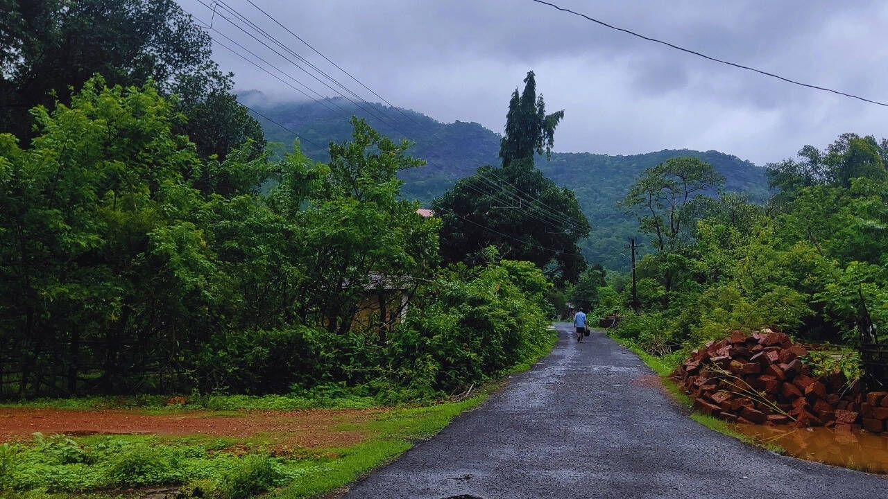 Scenic village in Goa