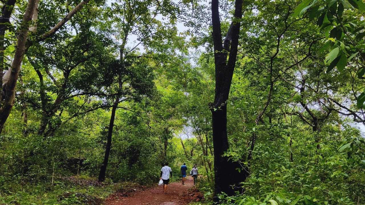 Forest trek in Goa