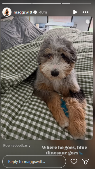 Maggie Witt's pet dog