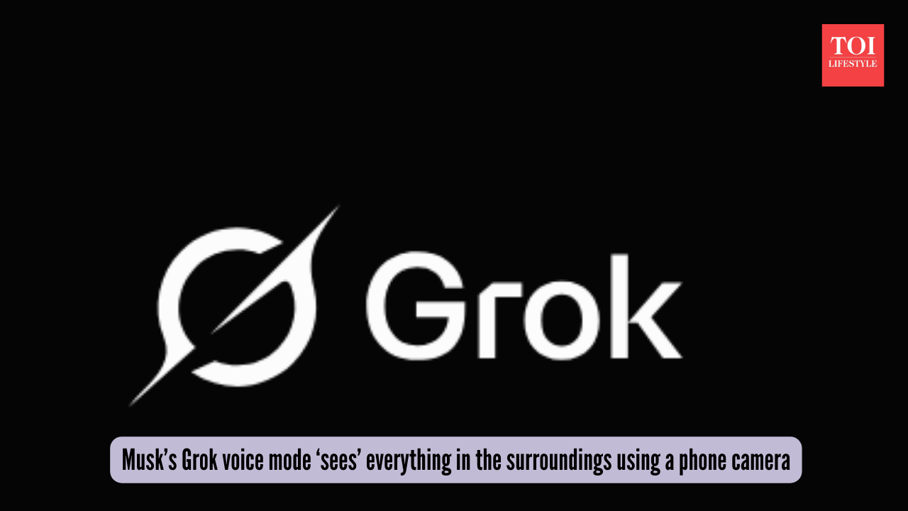 Grok voice mode explains everything in the surroundings using a phone camera (photo: Grok.com)