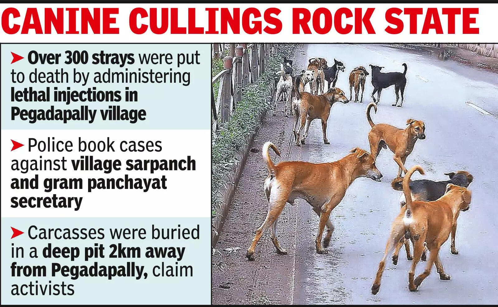 strays killed in Jagtial