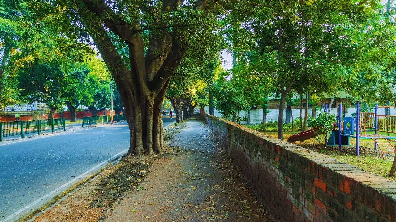 Quiet road in Chandigarh