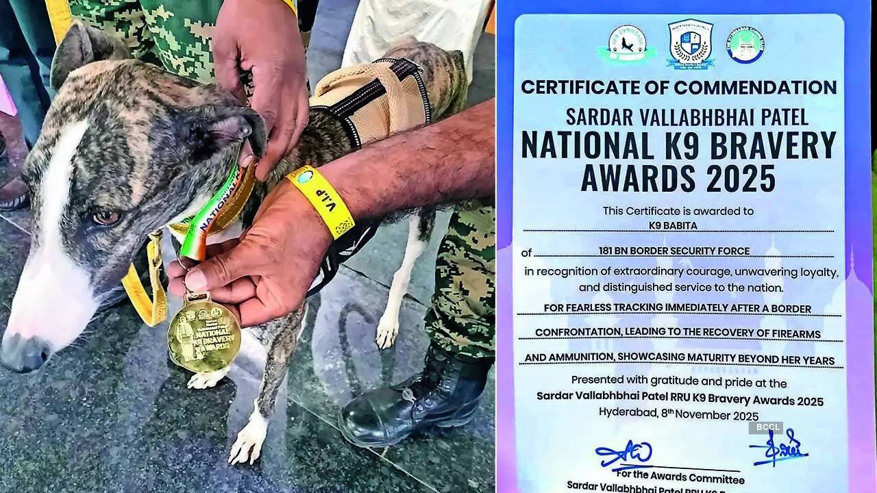 Indigenous Rampur breed K9 - Babita of BSF was honoured with the Sardar Vallabhbhai Patel National K9 Bravery Award 2025 at Hyderabad. The award was given in recognition for her fearless tracking after a border confrontation, which lead to recovery of firearms and ammunition