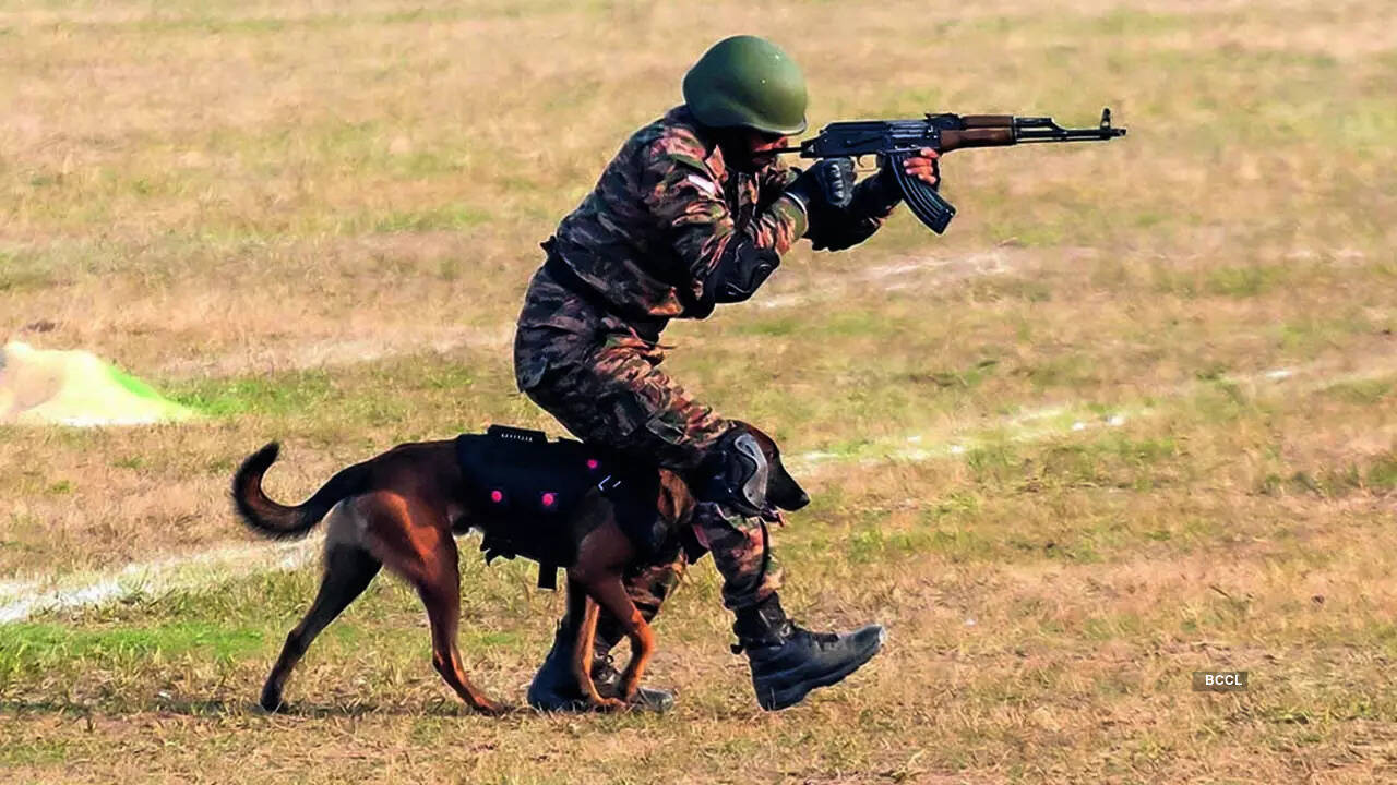 “Indigenous breeds were not formally inducted until trials with the Mudhol Hound began at RVC Meerut in 2016 which proved very successful,” shares Shantanu Pratap Singh.