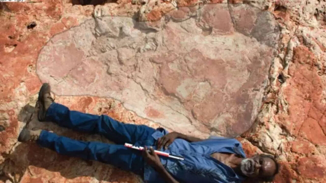 Where were the world’s largest dinosaur footprints found (Image source: National Geographic)