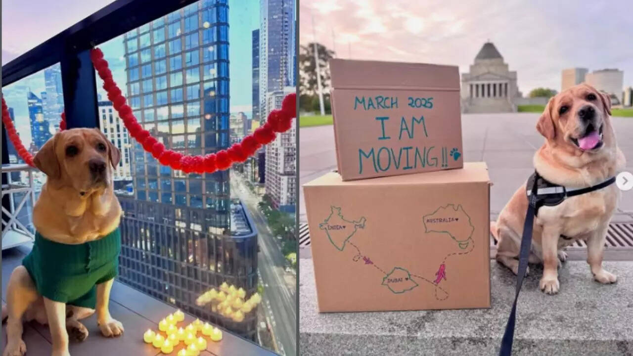 (Image: Instagram account of Sky)