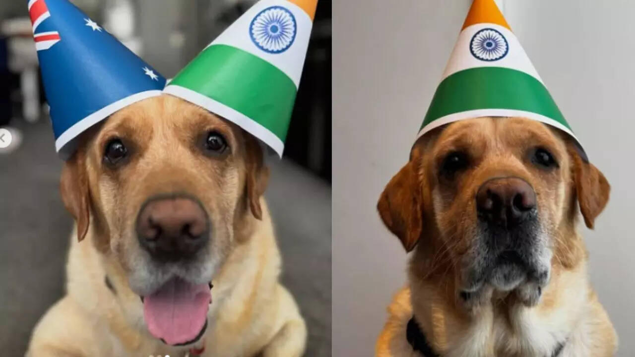 Sky (Image: Instagram)