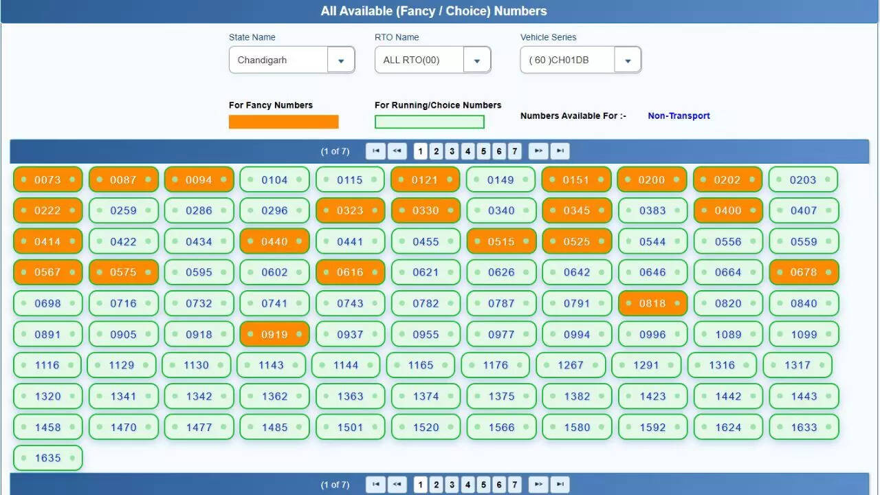 VIP vehicle registration number (Example)