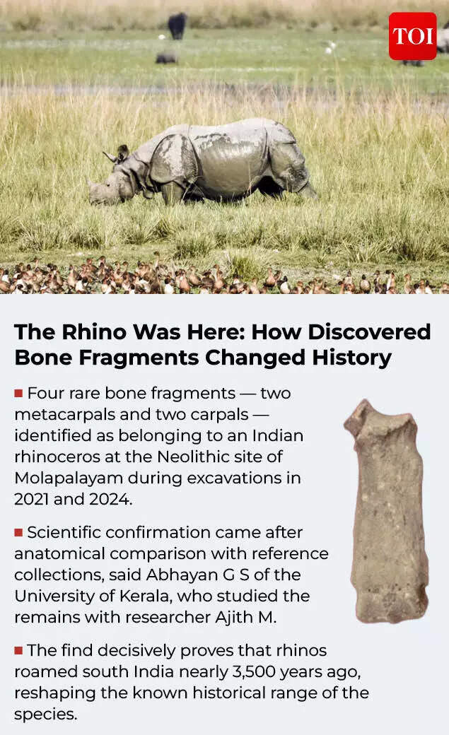 Bone Fragments Changed History