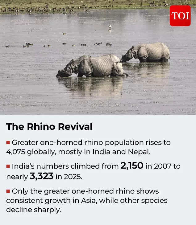 Rhino Growth