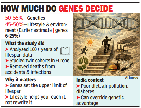 Screenshot 2026-02-03 052805