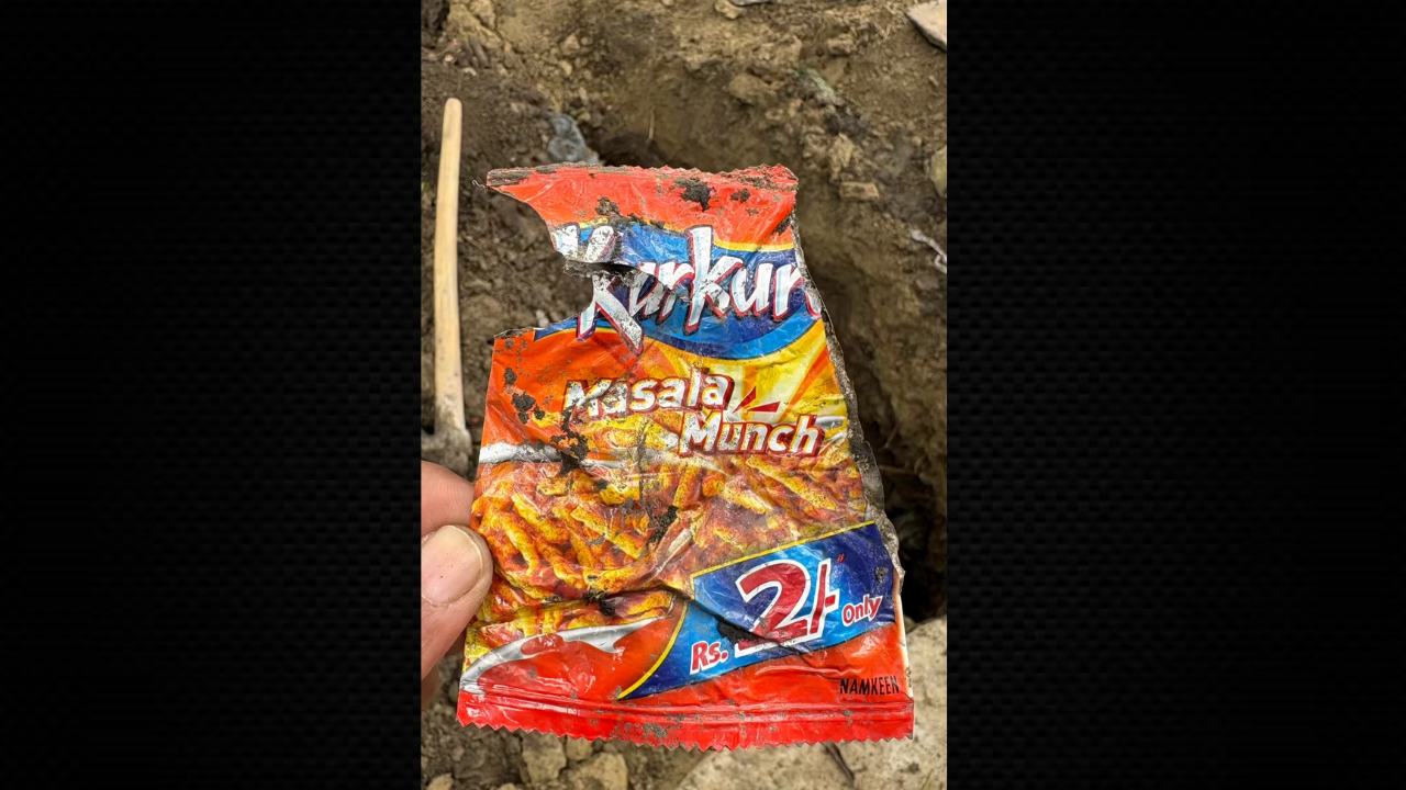 Image credit: puran_polio/ reddit