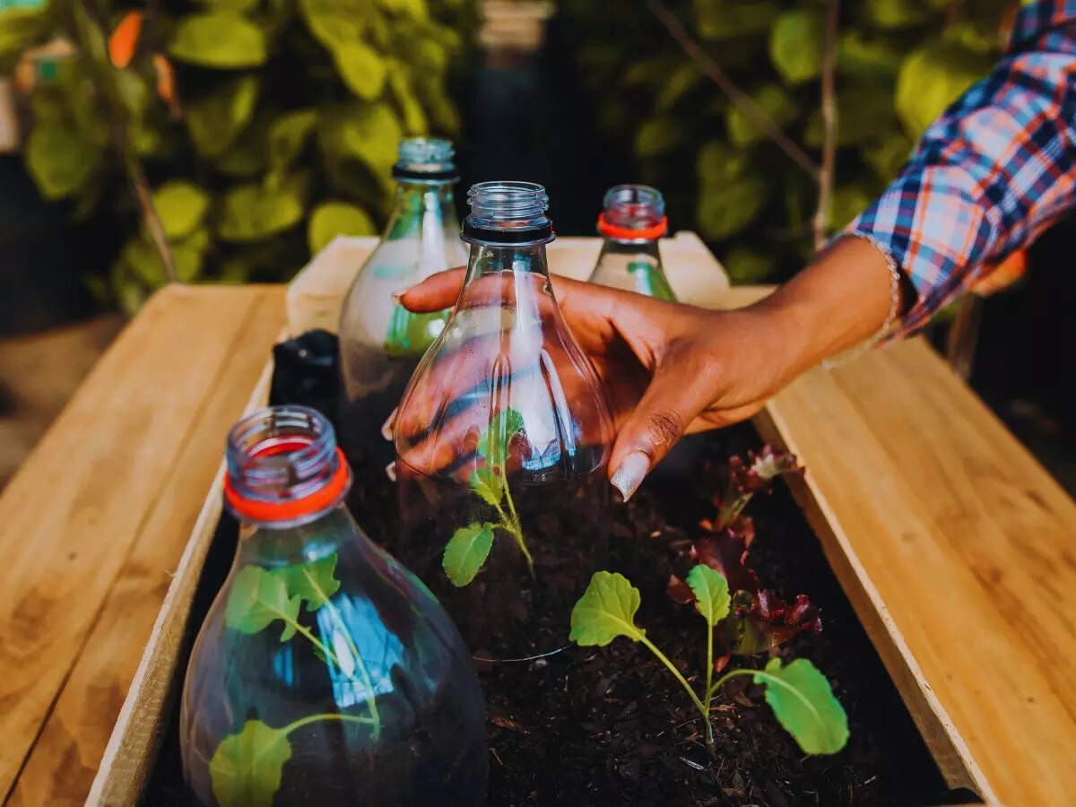 மறுபயன்பாடு