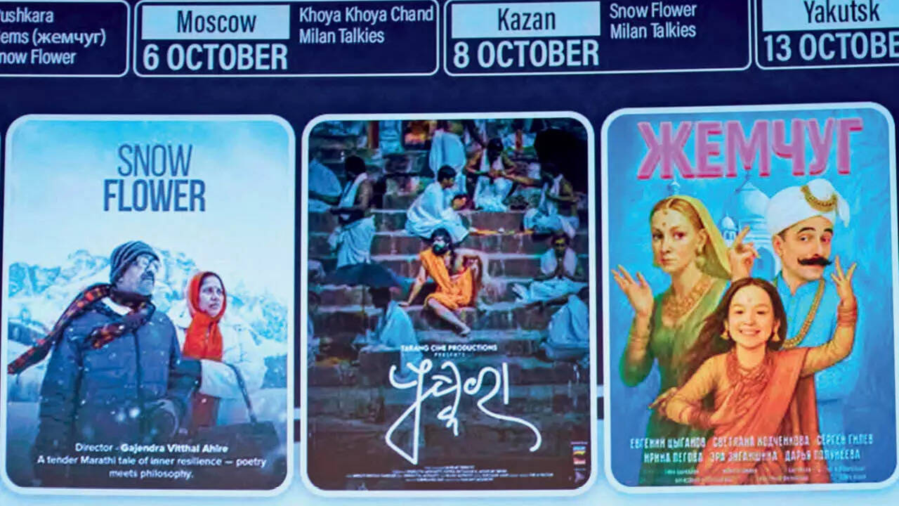 Posters of Sarfaraz’s movies – Snowflower and Gems