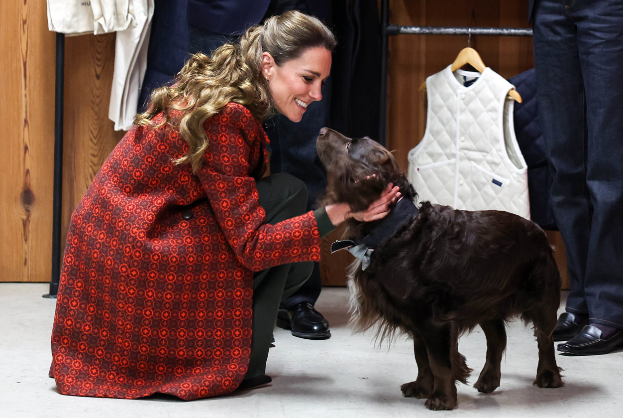 ஸ்கிரீன்ஷாட் 2026-02-05 100222