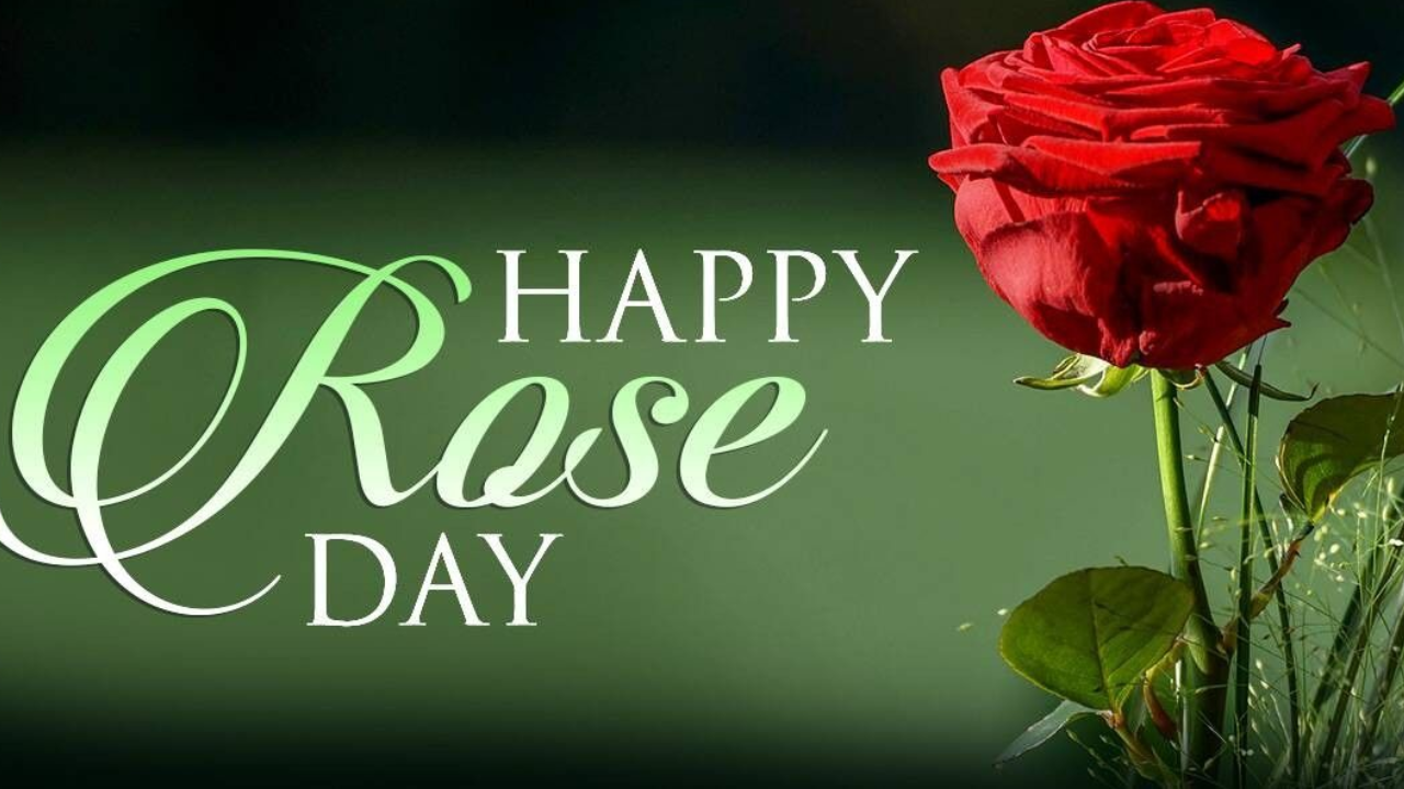 Happy Rose Day 2026 Wishes and Greetings