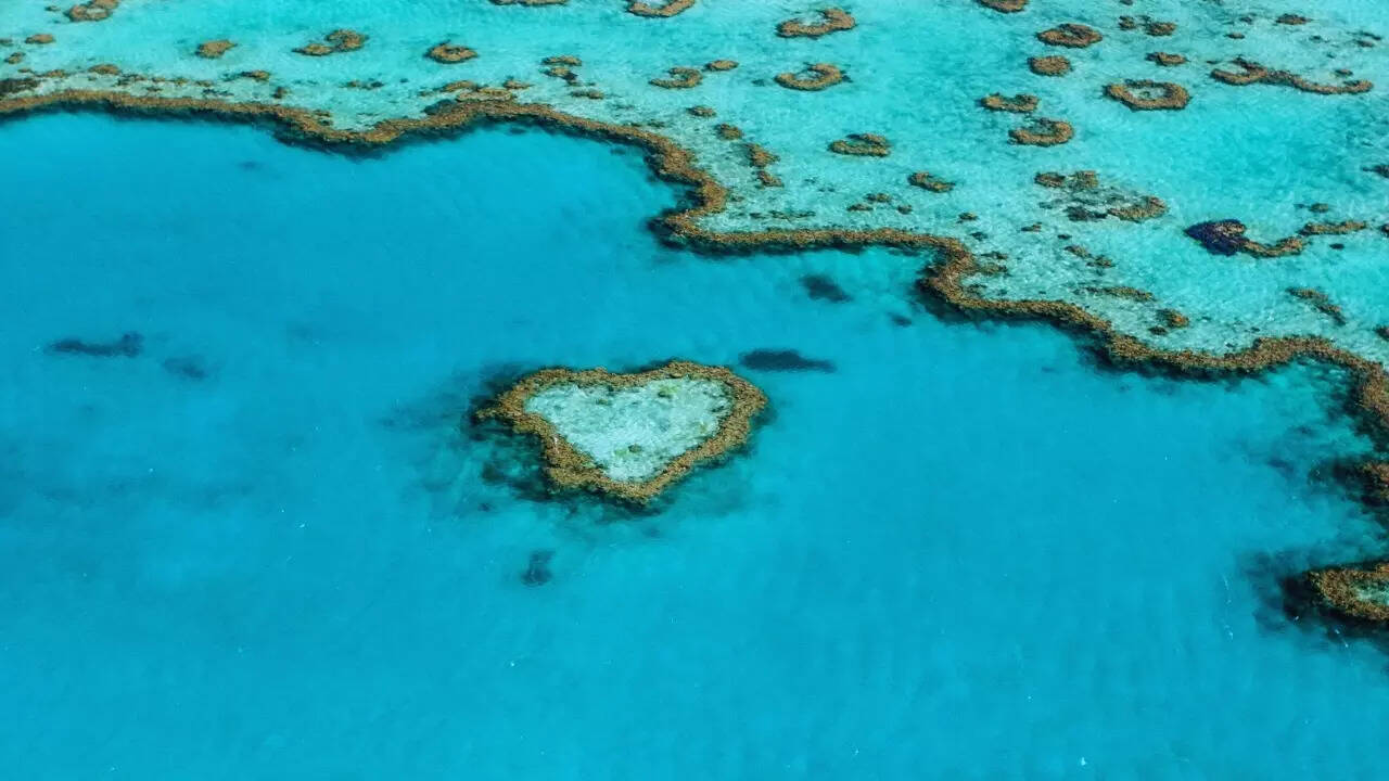 Heart Reef, Great Barrier Reef, Australia