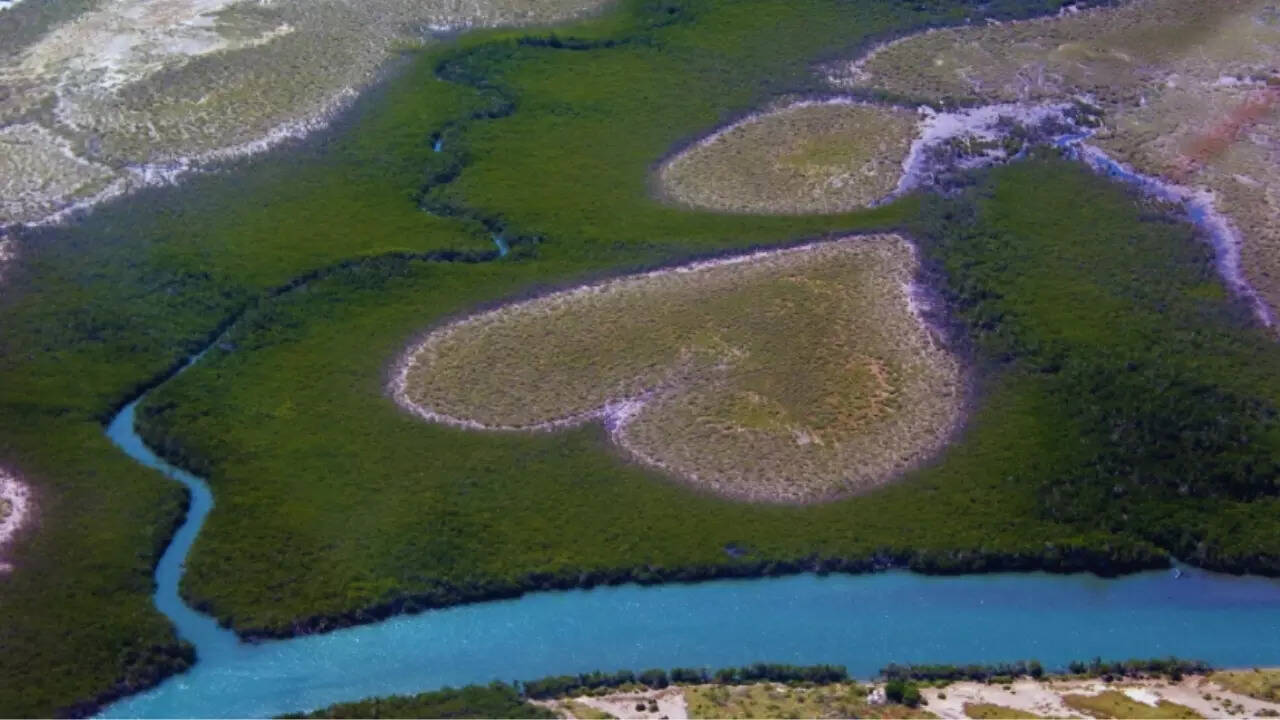 Voh’s Heart Mangrove, New Caledonia