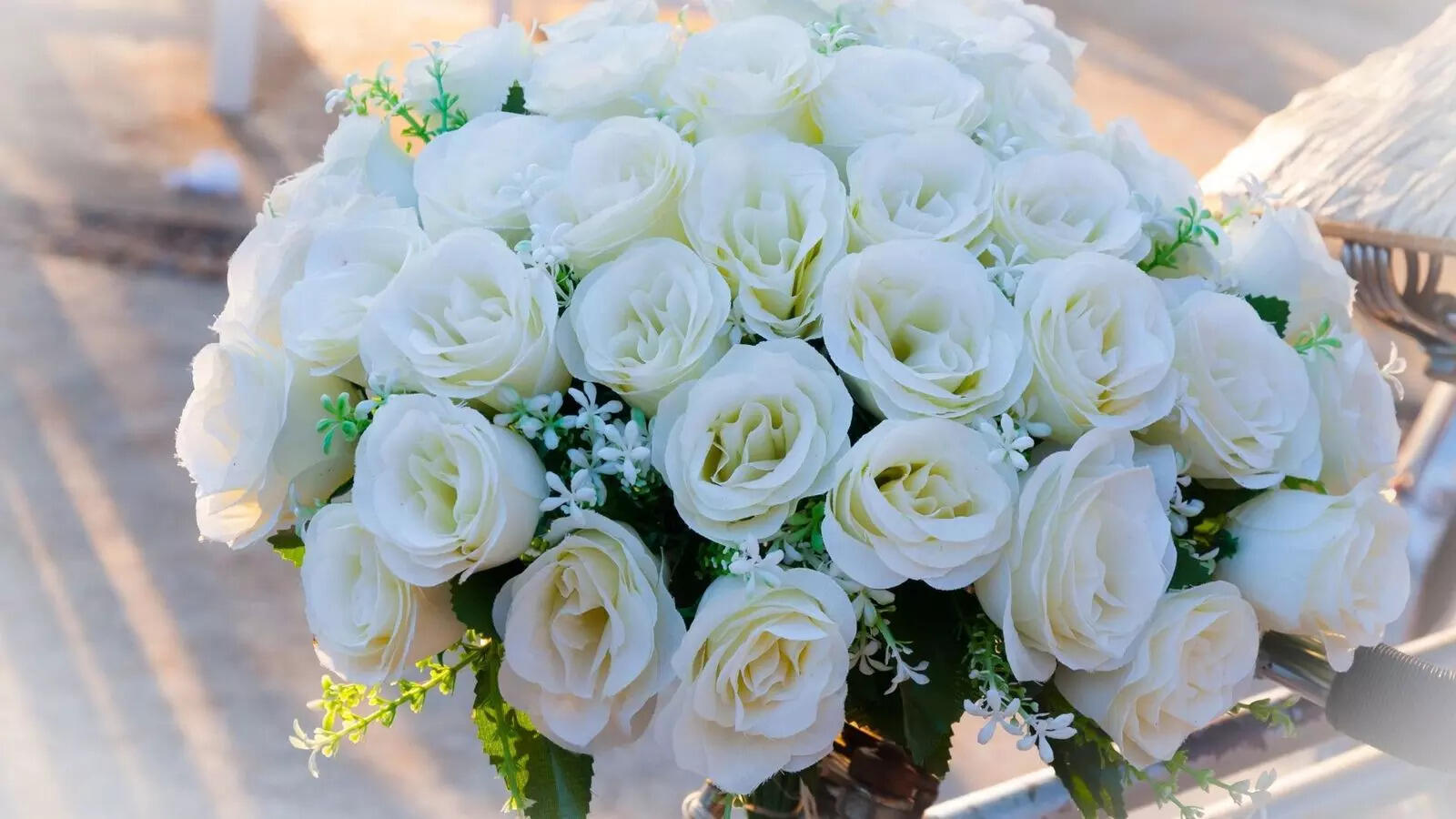 Happy Rose Day 2026: What the color of your Valentine's rose says about your type of love