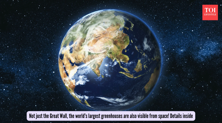 Not just the Great Wall, the world's largest greenhouses are also visible from space! Details inside