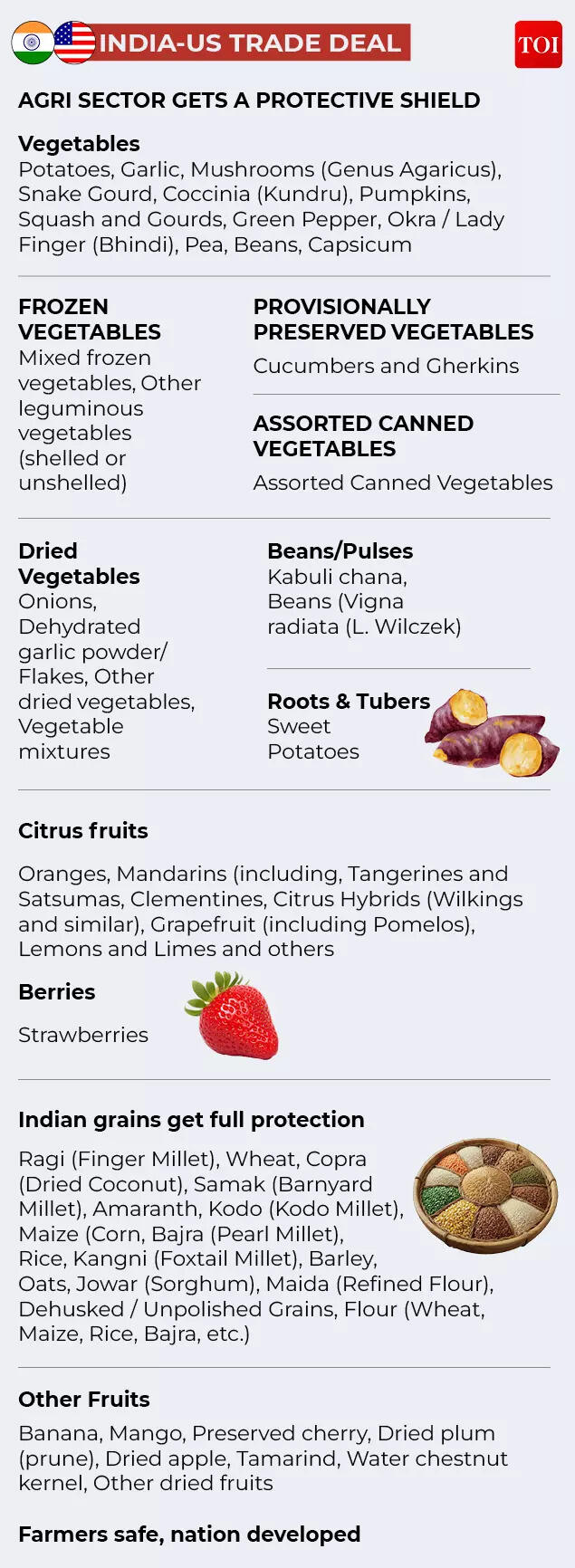 India-US Trade Deal: Agriculture Protected