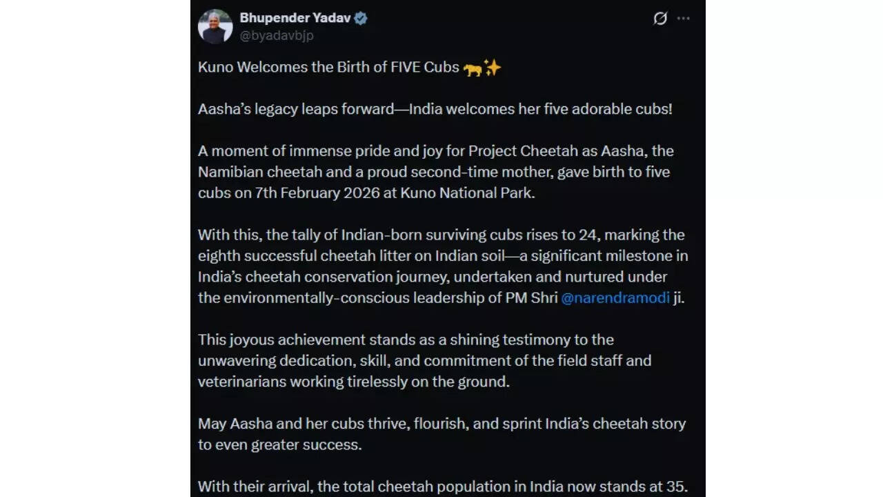 Union Cabinet Minister for Environment, Forest & Climate Change Bhupender Yadav on X