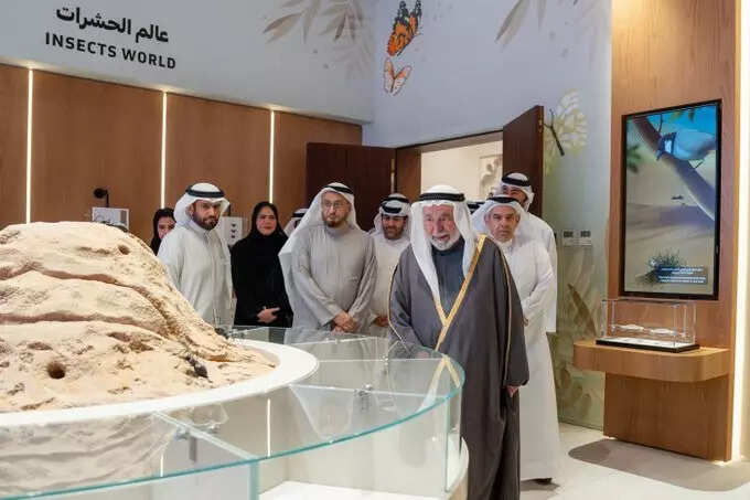 ​Insect Hall in Sharjah's Al Dhaid Wildlife Museum​ includes a collection of rare butterflies donated by the Sharjah Ruler to the museum, along with models of preserved insects.