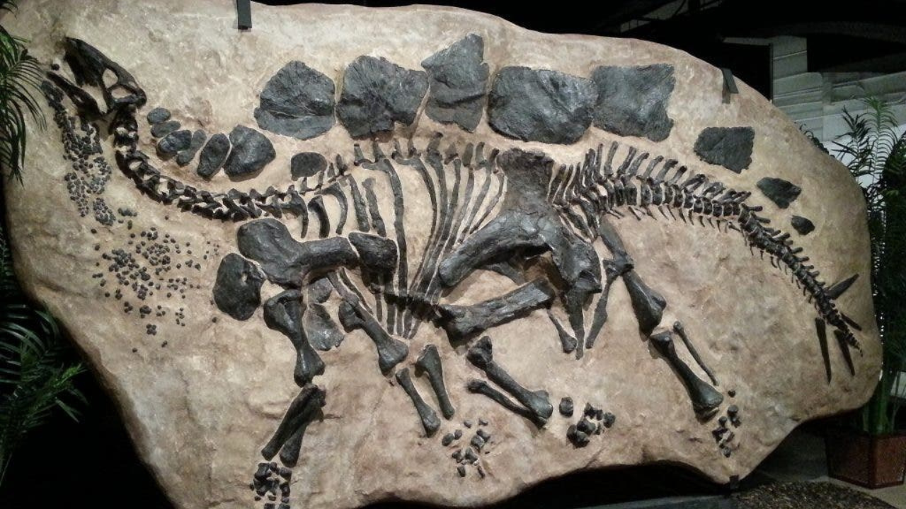 பில்லியனர்கள், அந்தஸ்து மற்றும் 'டைனோசர் விளைவு'