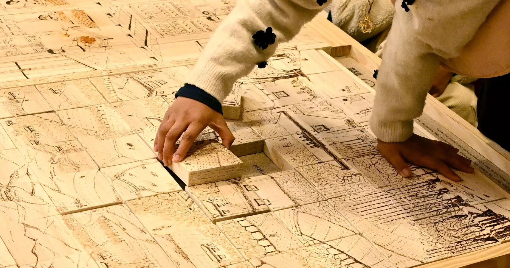 Anuja Dasgupta’s work, titled (Re)Frame, traces the apricot cycle in Ladakh