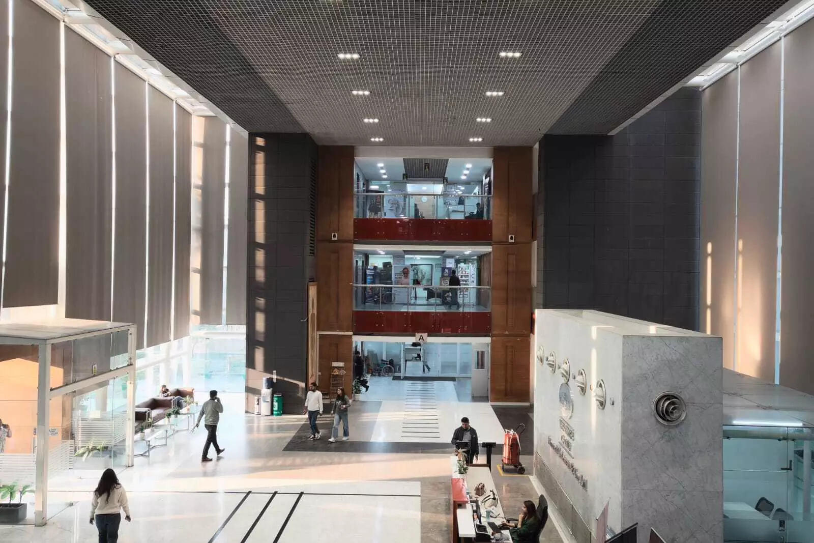 Ricoh GR Negative Film mode