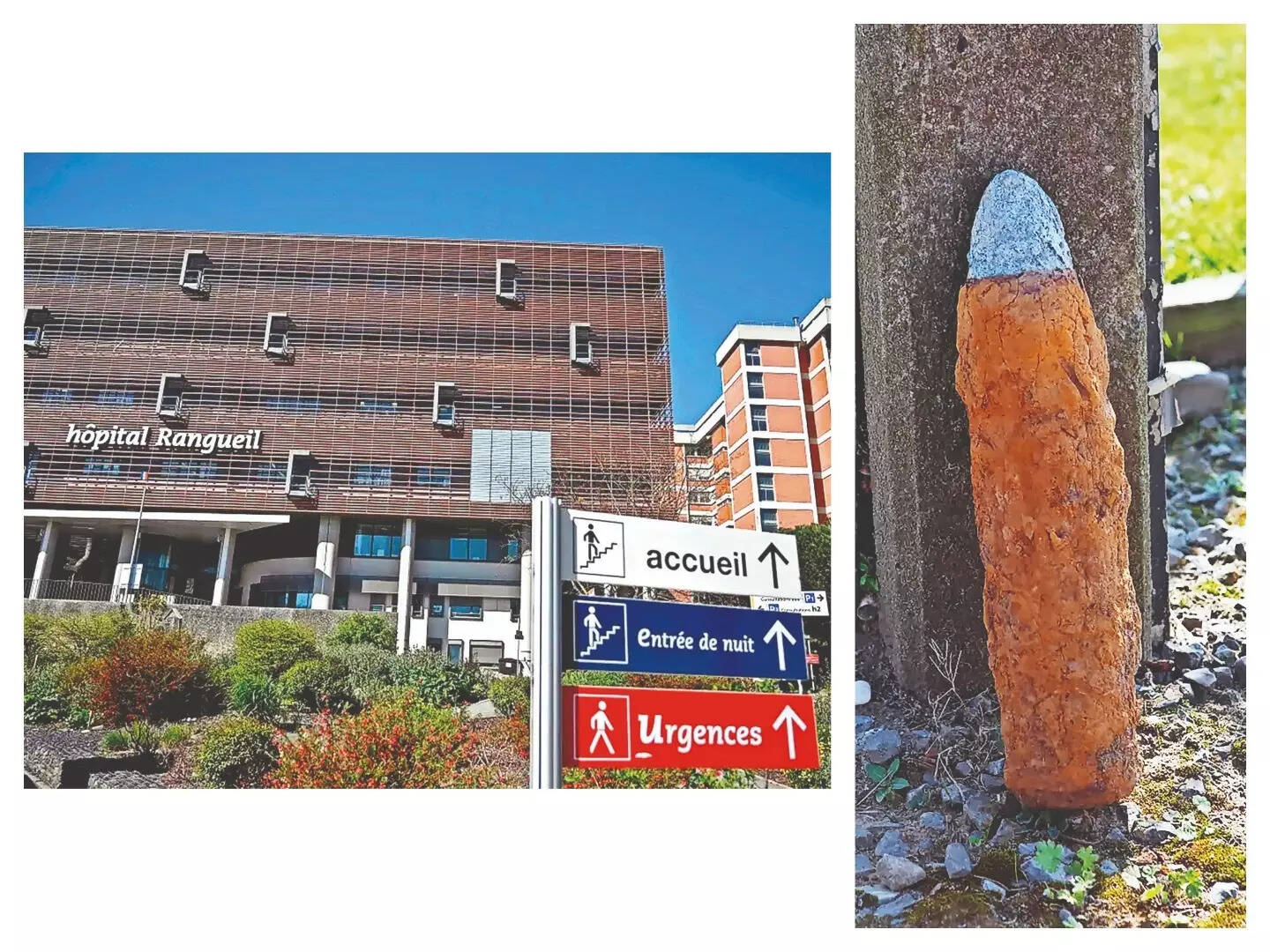 MixCollage-10-Feb-2026-11-00-AM-4837