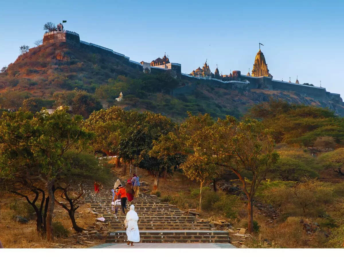 பாலிதானா, குஜராத், ஜெயின் கோவில்கள்