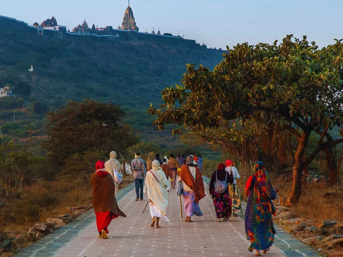 பாலிதானா, குஜராத், ஜெயின் கோவில்கள்