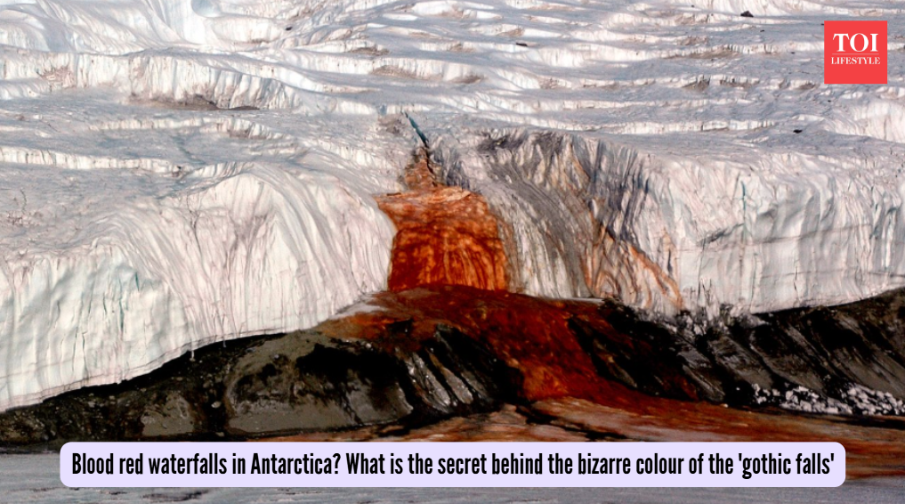 Blood red waterfalls in Antarctica? What is the secret behind the bizarre colour of the 'gothic falls'
