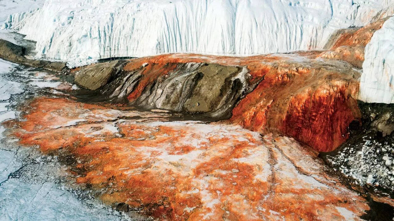 ‘Bleeding waterfalls of Antarctica’: Inside the mysterious crimson falls that hide millions of years of frozen secrets