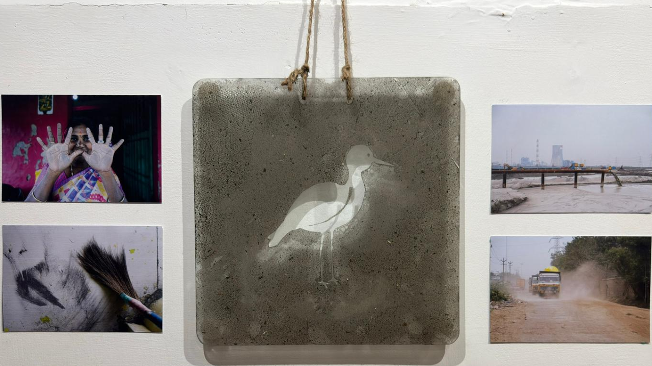 A stencil of a Red-Wattled Lapwing for the area Kuruvimedu