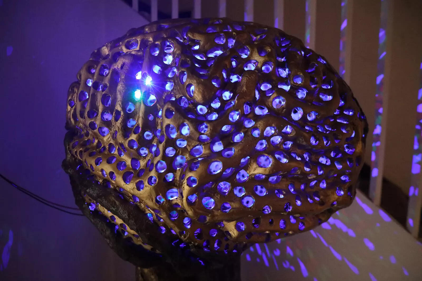 The exhibition explored inner worlds, awareness and the liminal space between waking and dreaming