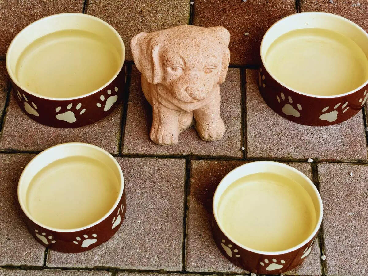 Tokyo cafe