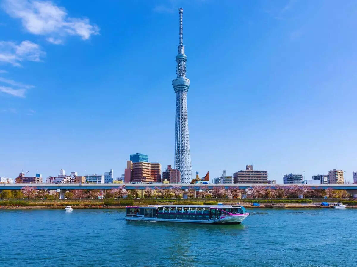 Cruise tokyo