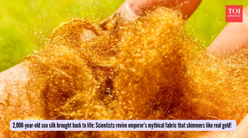 POSTECH vis Science Direct) Scientists revive emperor’s mythical fabric that shimmers like real gold!
