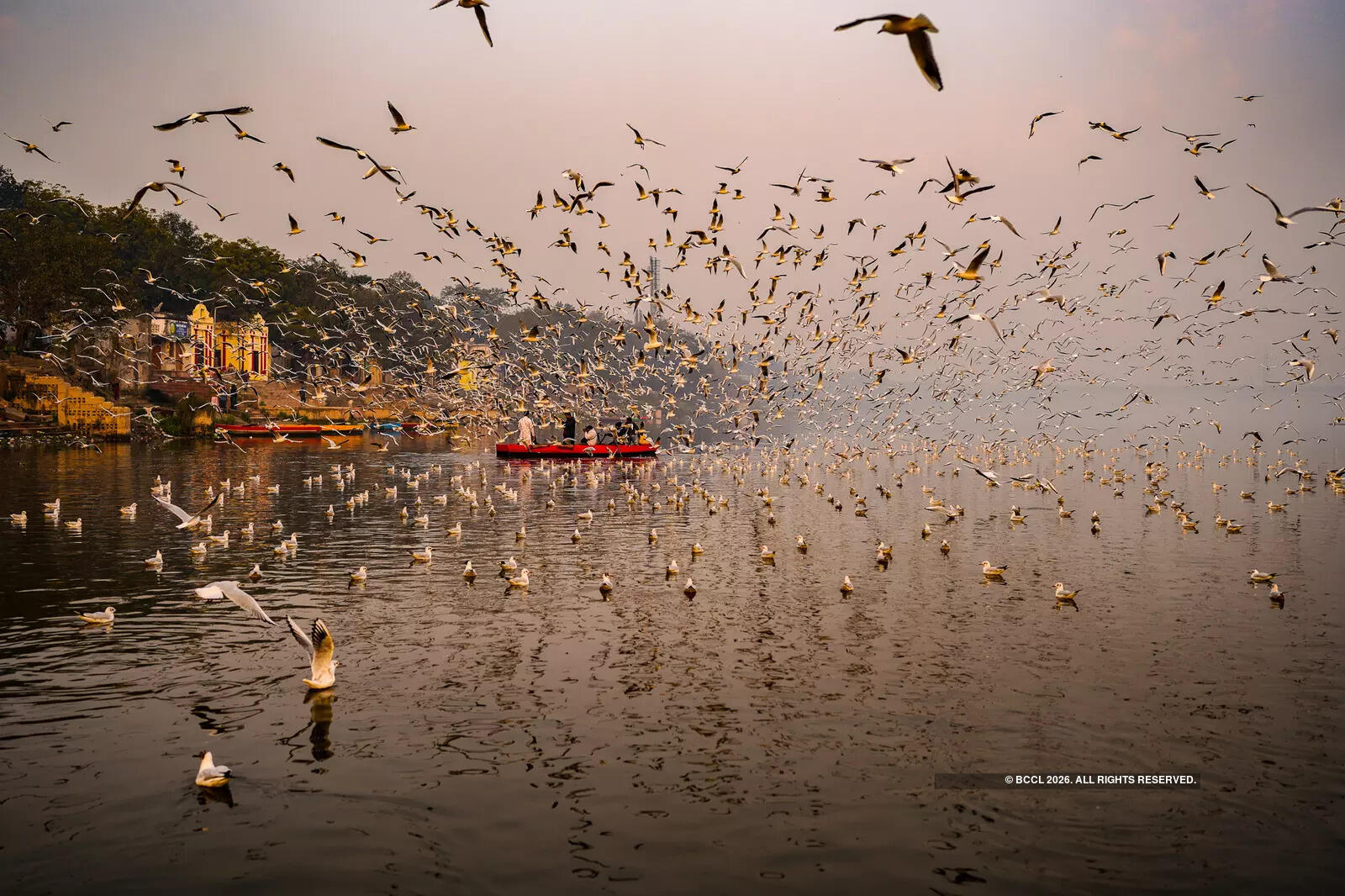 The misty river in the backdrop with birds in motion creates a cinematic canvas