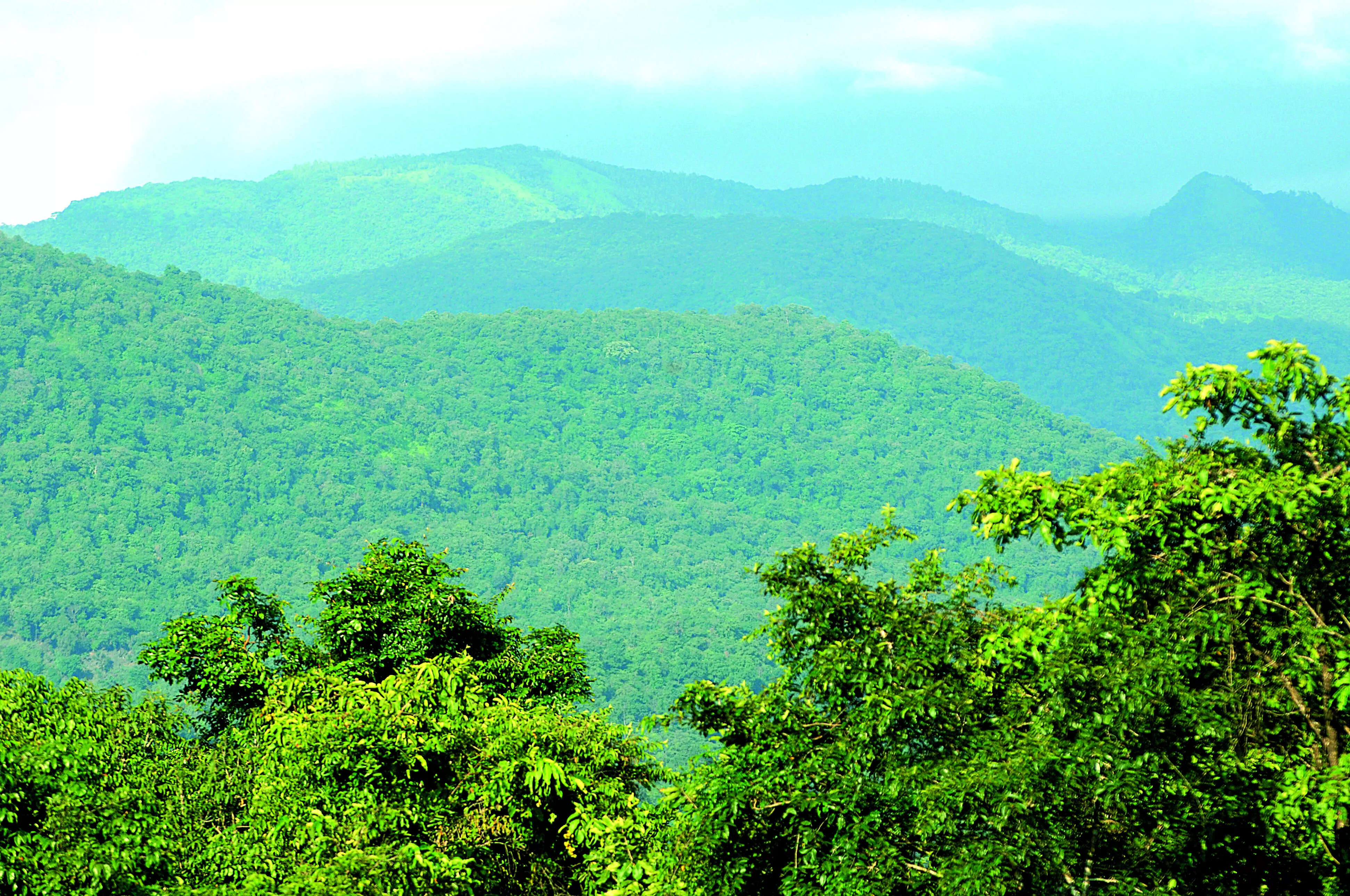 Village biodiversity panels to get funding from national board