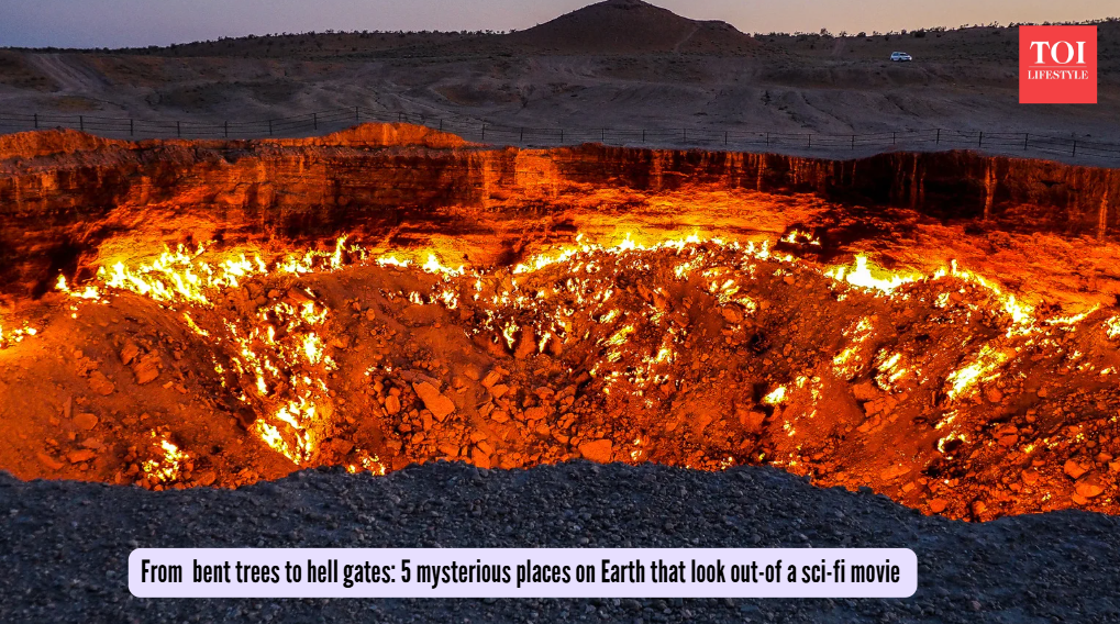 From  bent trees to hell gates: 5 mysterious places on Earth that look out-of a sci-fi movie
