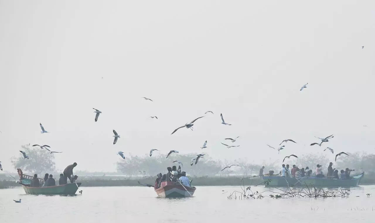 BhigwanBirdWatching_24